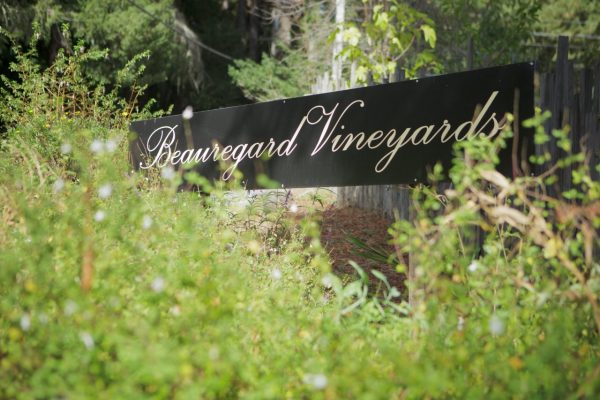 Beauregard Vineyards