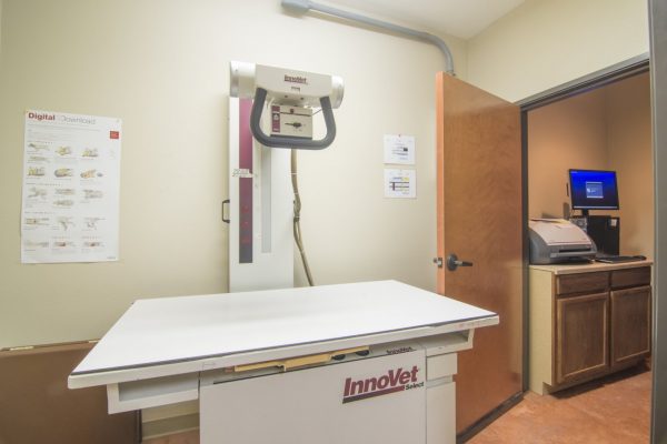 Ridge Road Animal Hospital exam room