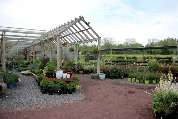 The Market at DelVal Doylestown, PA garden center