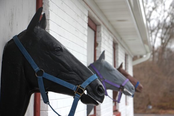 horse heads Toll Booth Saddle Shop Mount Holly, NJ