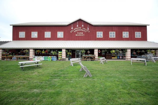 The Market at DelVal Doylestown, PA Farmers Market