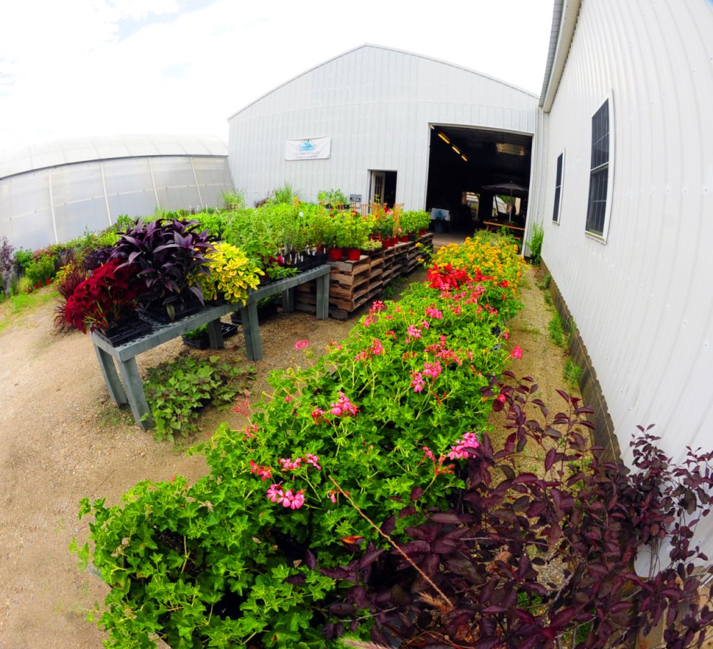 Windy Acres Inc. Cape May Court House NJ greenhouse flowers