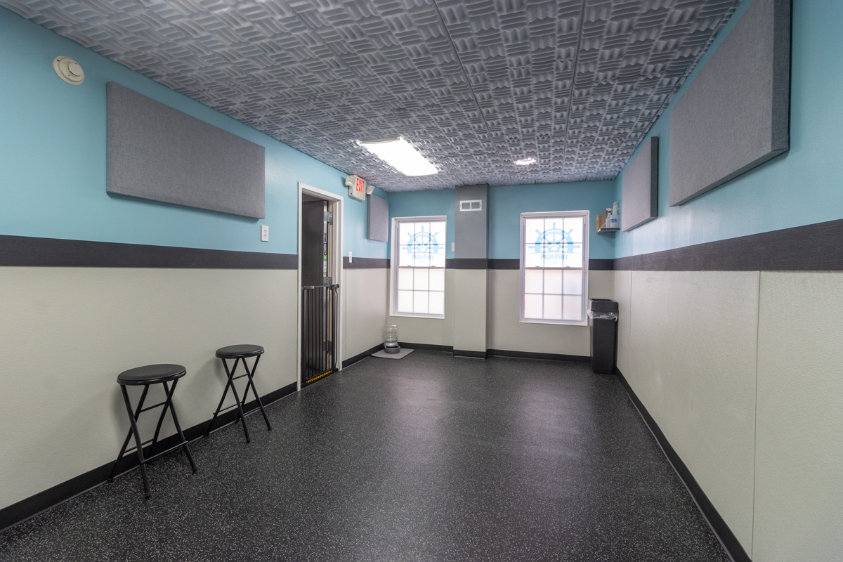 PupsPort Dog Daycare & Grooming, Philadelphia, PA 360 Virtual Tour