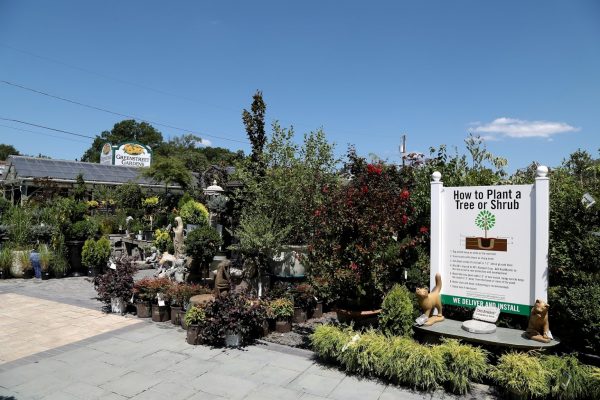 Greenstreet Gardens of Virginia Alexandria, VA Garden Center