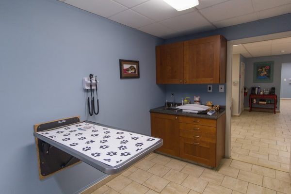 exam room at HousePaws Mobile Veterinary Service in Atco, NJ