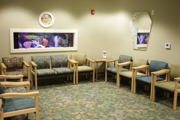 Dr. Carlyn Phucas Orthodontist Marlton NJ aquarium waiting room