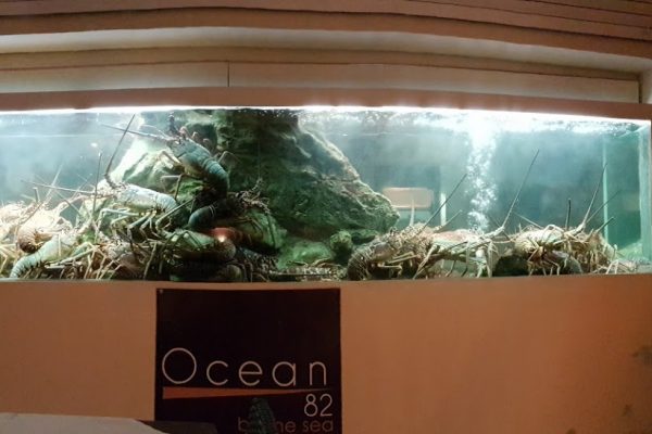 Ocean 82 restaurant in Grand-Case, Saint Martin lobster aquarium