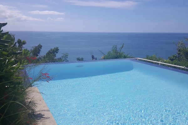 Horned Dorset Primavera Rincón Puerto Rico infinity pool