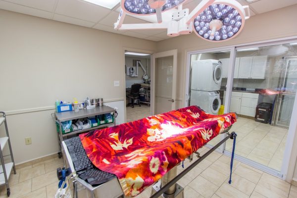 operating table at HousePaws Mobile Veterinary Service in Atco, NJ