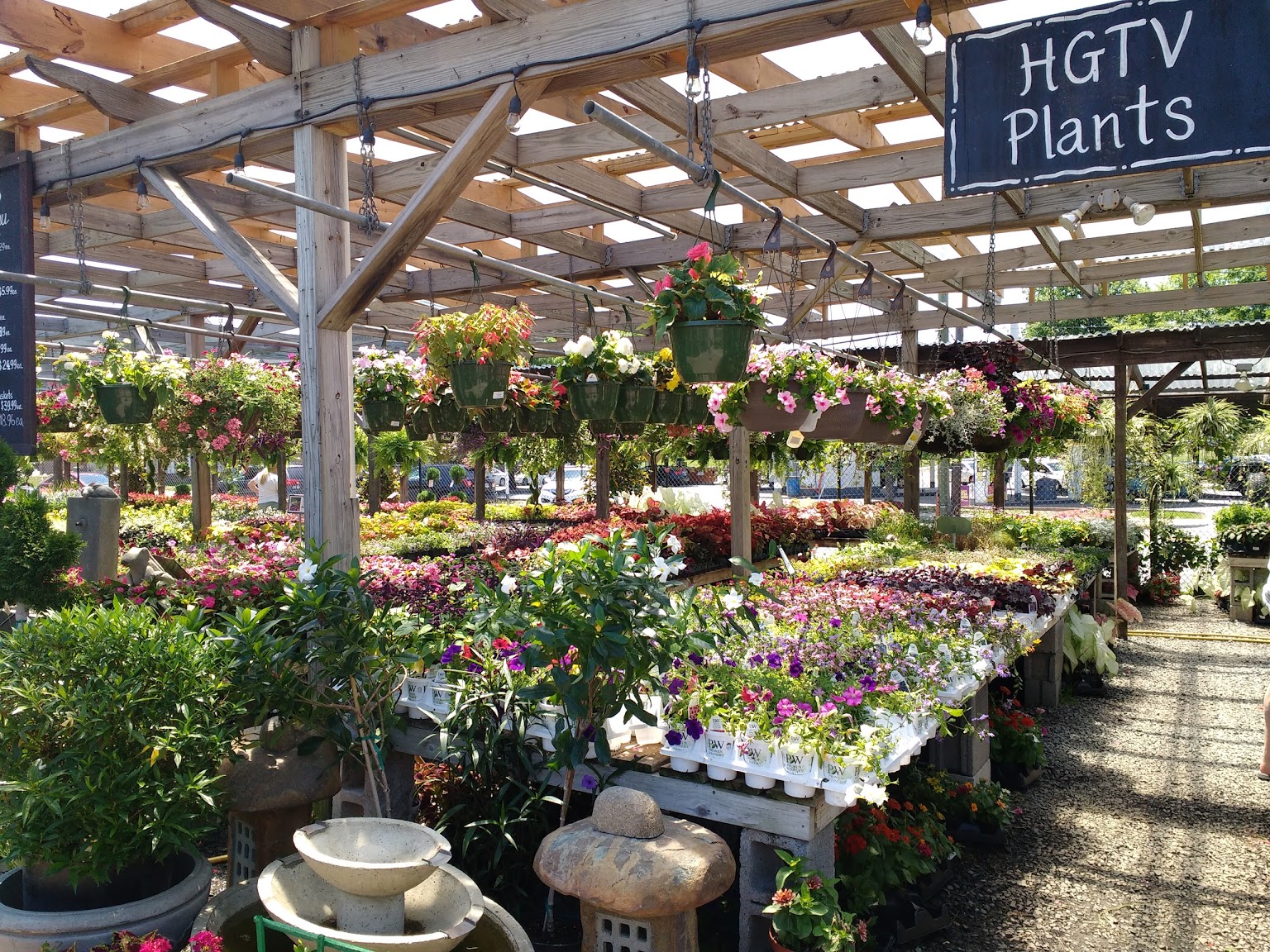 Greenstreet Gardens of Virginia Alexandria, VA Garden Center potted flowers