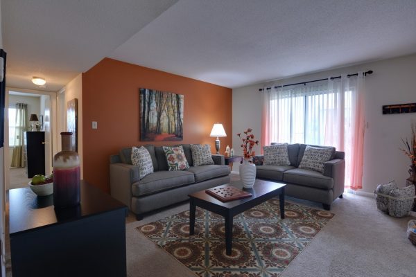 model living room at Briarwood Apartments complex in Fayetteville, NC