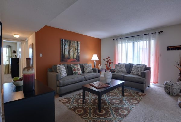 model living room at Briarwood Apartments complex in Fayetteville, NC