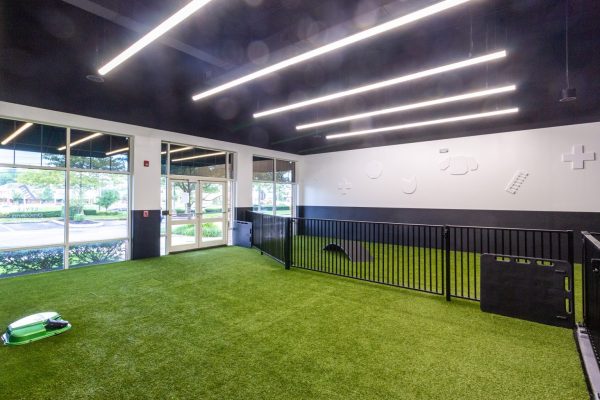 dog daycare play area at Heart + Paw dog care and Veterinary in Marlton, NJ