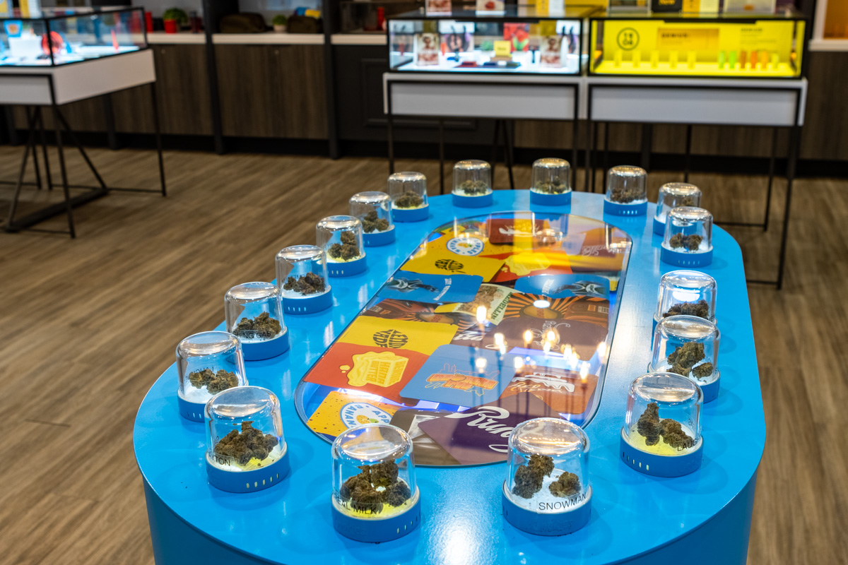 cannabis buds at Apothecarium Dispensary Maplewood, NJ 360 Virtual Tour for Cannabis store