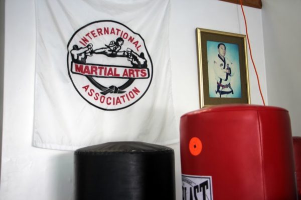 Yis Karate Institute Inc Atco NJ Martial Arts studio logo punching bag framed photo