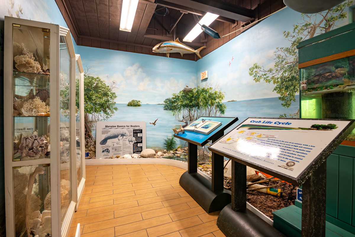 crab and manatee display at Calusa Nature Center & Planetarium, Fort Myers, FL | 360 Virtual Tour for Nature preserve