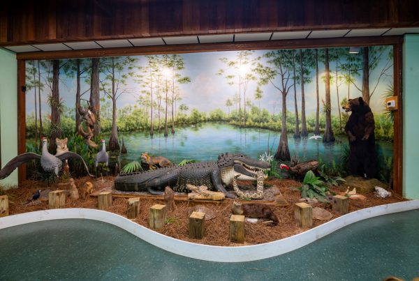 Calusa Nature Center & Planetarium, Fort Myers, FL | 360 Virtual Tour for Nature preserve