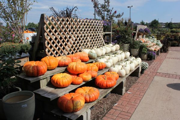 Shady Brook Farm