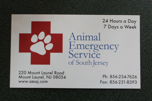 Mount Laurel Animal Emergency Service NJ card