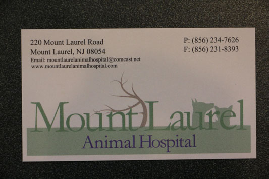 Mount Laurel Animal Hospital NJ card