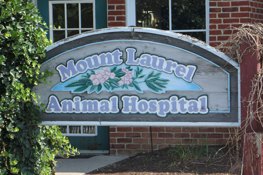 Mount Laurel Animal Hospital NJ sign