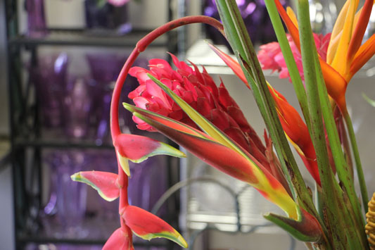 Gordon Florist – See-Inside Flower Shop, Baltimore, MD