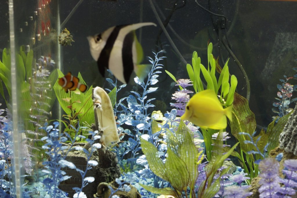 Biomes Marine Biology Center – See-Inside Aquarium, North Kingstown, RI