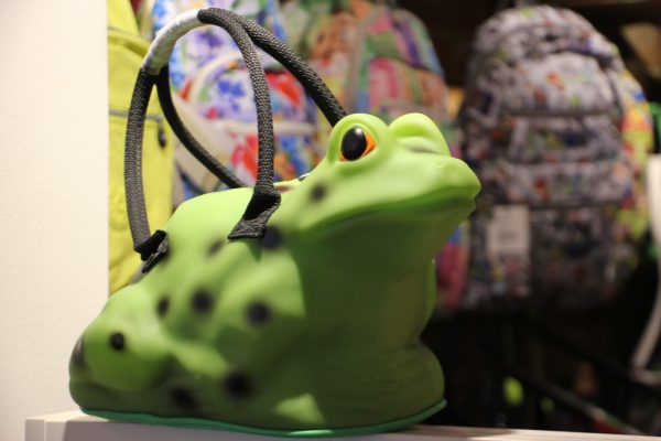 Botari Princeton NJ frog hand bag