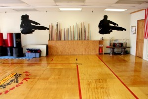 Yi's Karate of Cherry Hill NJ dojo bo staff jump kick silhouette