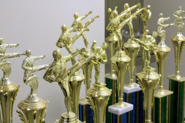Yi's Karate of Cherry Hill NJ martial arts trophies