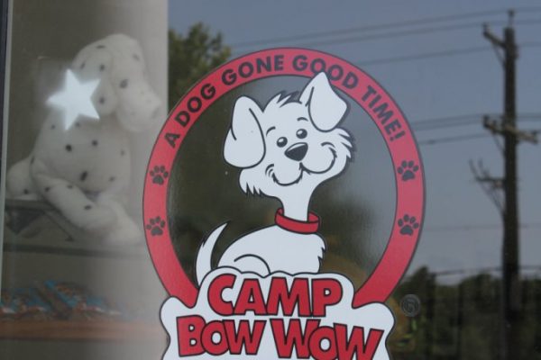 Camp Bow Wow Pet Grooming Cherry Hill NJ window decal