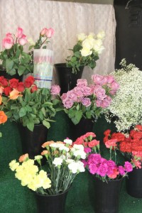Cavello Floral Co Mt Laurel NJ flowers