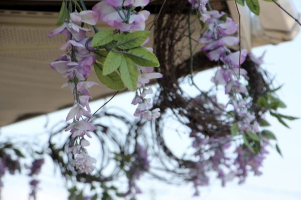 Mc Ginleys Garden Center Lumberton NJ florist hanging purple flowers trim
