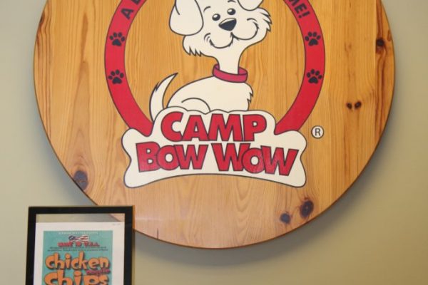 Camp Bow Wow Cherry Hill NJ dog day care center logo
