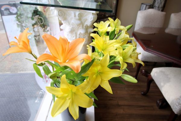 Asters Floral Shop Collingswood NJ Flowers orange yellow lilies