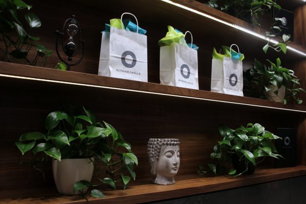 BEYOND HELLO Cannabis store in Bristol, PA plants wall gift bags buddha head