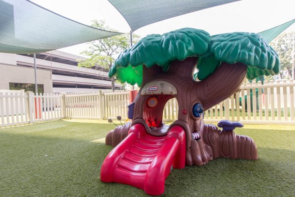 playground tree slide at Lightbridge Academy pre-school and daycare in Rutherford, NJ