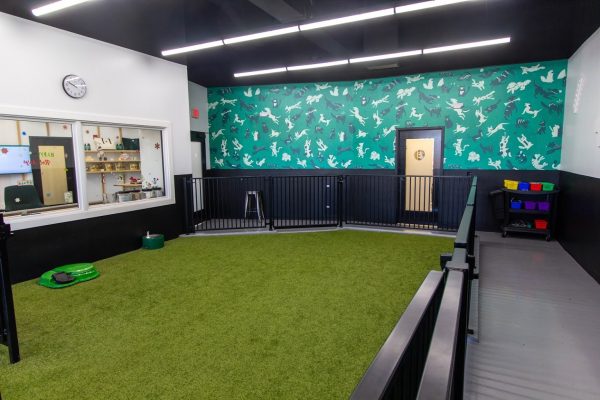 dog care room at Heart + Paw Dog care and Veterinary in Cherry Hill, NJ