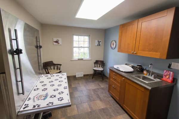 exam room at HousePaws Mobile Veterinary Service in Yardley, PA