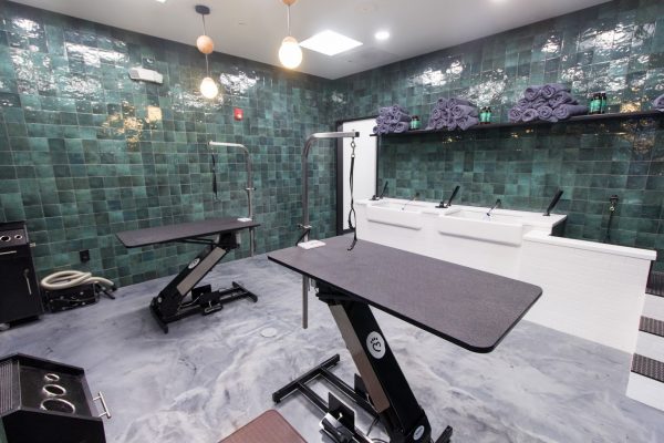 wash and groom room at Heart + Paw Dog care and Veterinary in Glen Mills, PA