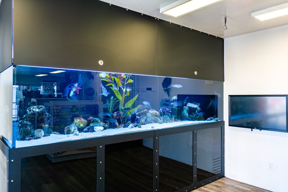 fish aquarium at Oceanside SEA Center, Oceanside, CA Fishing Charter