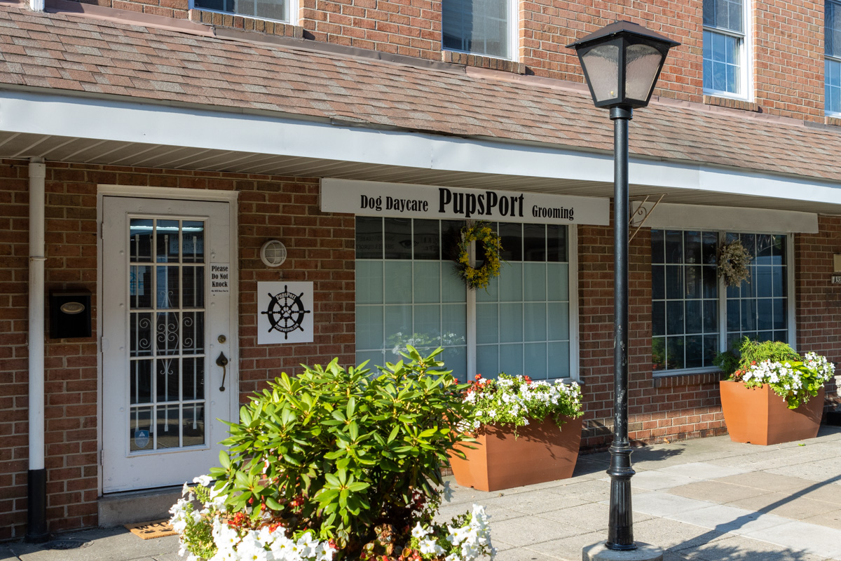 store front of PupsPort Dog Daycare & Grooming, Philadelphia, PA 360 Virtual Tour