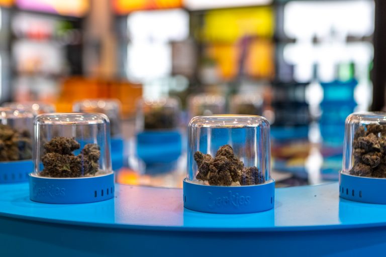 Apothecarium Dispensary Lodi, NJ 360 Virtual Tour for Cannabis store