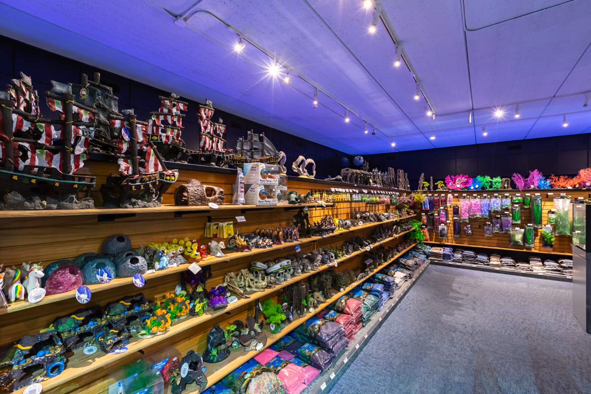 fish tank accessories at Aquatics Unlimited in Greenfield, WI 360 Virtual Tour for Fish store
