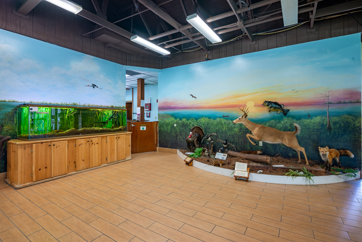 aquarium and wildlife display at Calusa Nature Center & Planetarium, Fort Myers, FL | 360 Virtual Tour for Nature preserve