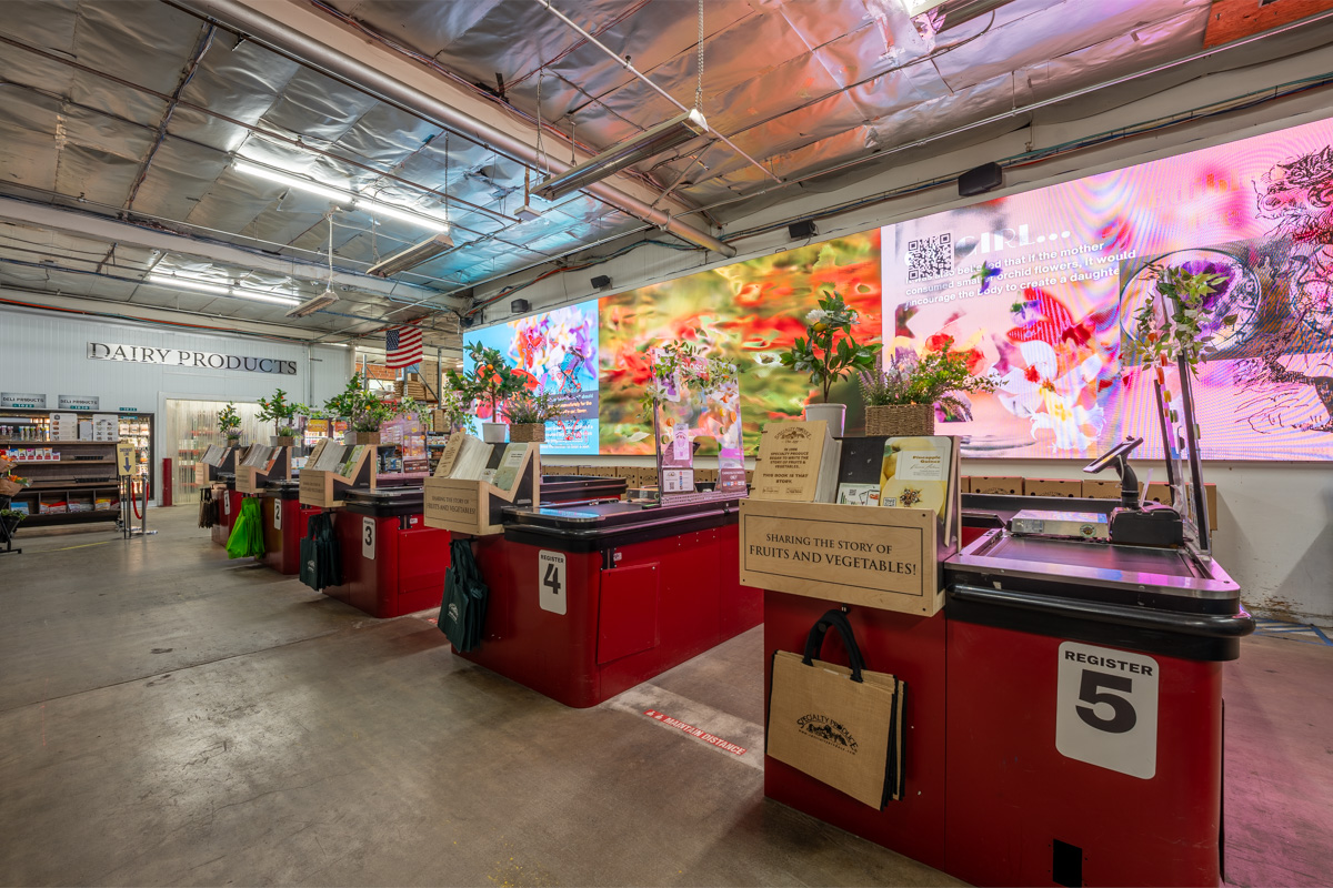 sale check-out aisles at Specialty Produce Market, San Diego, CA 360 Virtual Tour for Grocery store