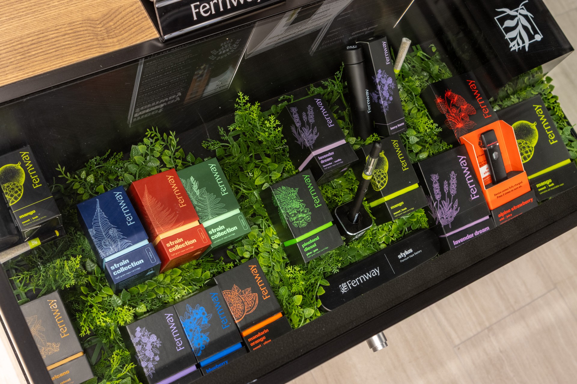 fernway display at West Orange Wellness Dispensary, West Orange, NJ 360 Virtual Tour for Cannabis store