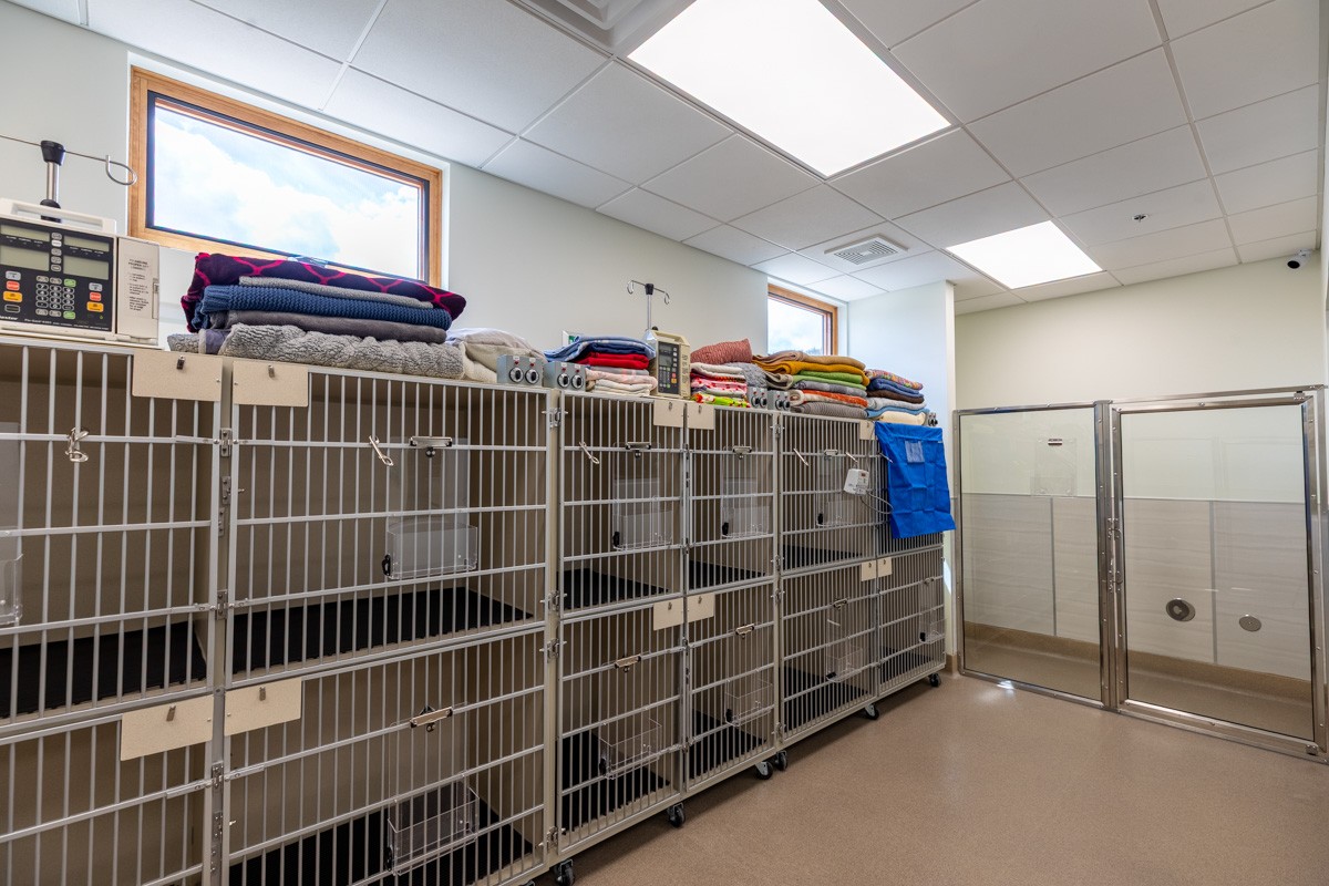 kennels at Silverthorne Veterinary Hospital, Silverthorne, CO 360 Virtual Tour for Veterinarian