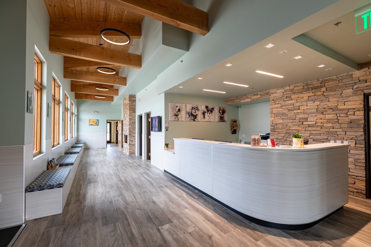 lobby of Silverthorne Veterinary Hospital, Silverthorne, CO 360 Virtual Tour for Veterinarian