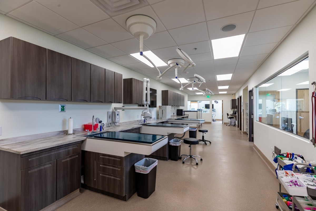 open space exam tables at Silverthorne Veterinary Hospital, Silverthorne, CO 360 Virtual Tour for Veterinarian